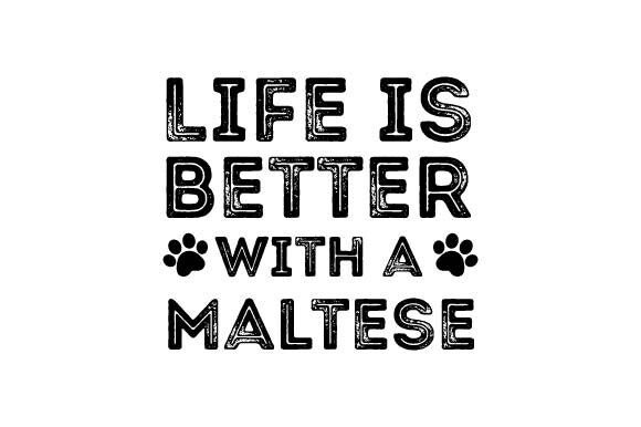 Retro Maltese Dog SVG: A Designer’s Real-World Evaluation